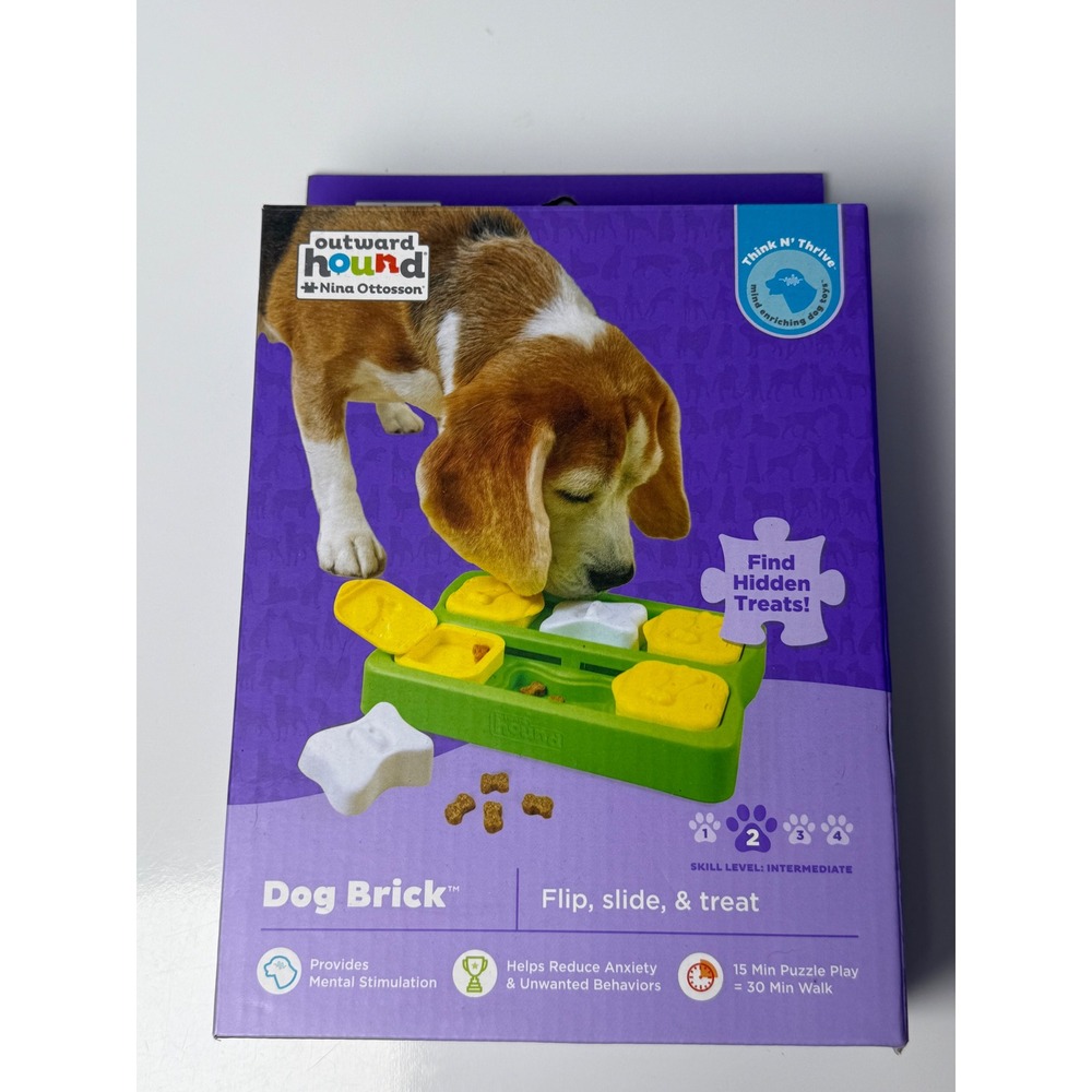 Outward Hound Nina Ottosson Dog Brick Intermediate Level 2 Puzzle Toy Green